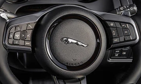 Jaguar Ftype CHEQUERED FLAG EDITION COUPE (J60MA / J608A)