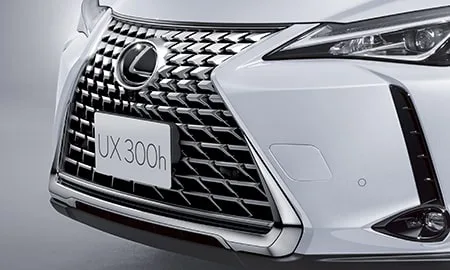 Lexus UX300H GRACEFUL EXPLORER (MZAH11)