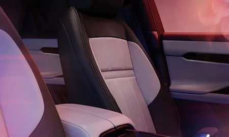 Land Rover Range Rover Evoque HOXTON EDITION D200 (LZ2NB)