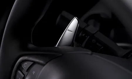 Honda Nsx TYPE S (NC1)