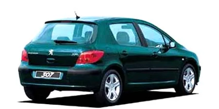 Peugeot 307 STYLE (T5NFU)