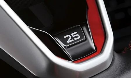 Volkswagen Polo Gti EDITION 25 (AWDNN)