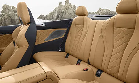 Bmw M8 CABRIOLET (AE44M)