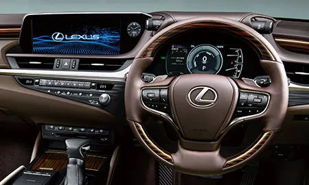 Lexus ES300H VERSION L (AXZH11)
