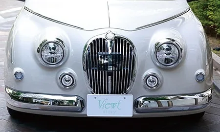 Mitsuoka Viewt Story 15DX (MXPA10)