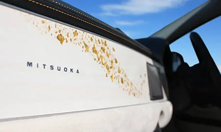 Mitsuoka Viewt GOLD PREMIUM (K13)