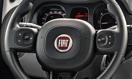 Fiat Panda 4X4 ITALIANA (13909)