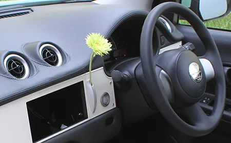 Mitsuoka Viewt HARU (K13)