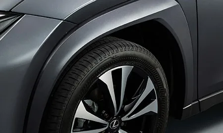 Lexus UX250H F SPORT STYLE BLUE (MZAH10)