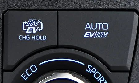Toyota RAV4 Phv BLACK TONE (AXAP54)