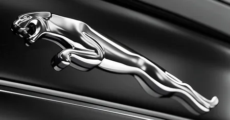 Jaguar XK PORTFOLIO CONVERTIBLE (J43YB / J438B)