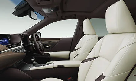 Lexus ES300H VERSION L (AXZH11)