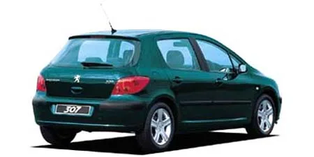 Peugeot 307 STYLE (T5NFU)