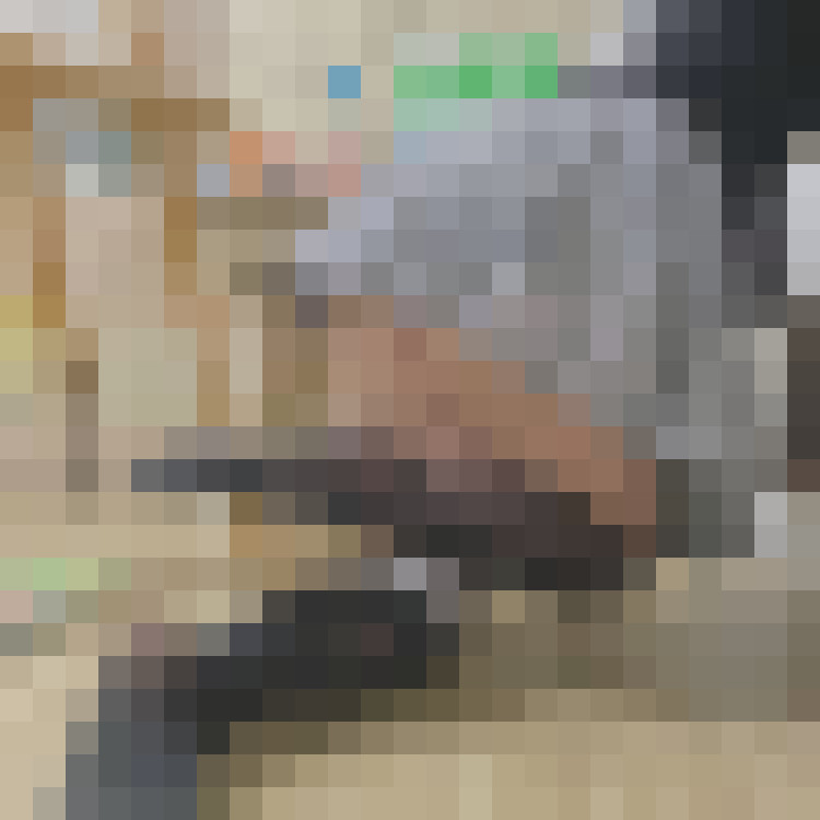 𝔽𝕒𝕧𝕠𝕣𝕚𝕥𝕖 𝕡𝕝𝕦𝕞𝕤