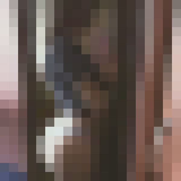 Домашний слив телеграм