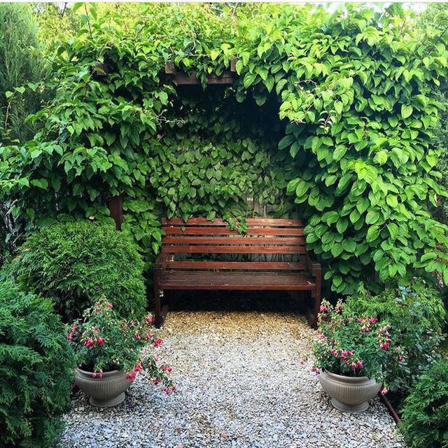 Красивый сад🌳 Ландшафтный дизайн