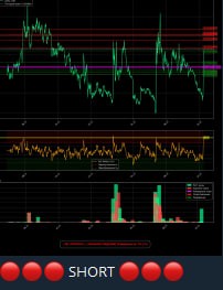 VEKTOR ( торговля с искусственным интеллектом на бирже ByBit )