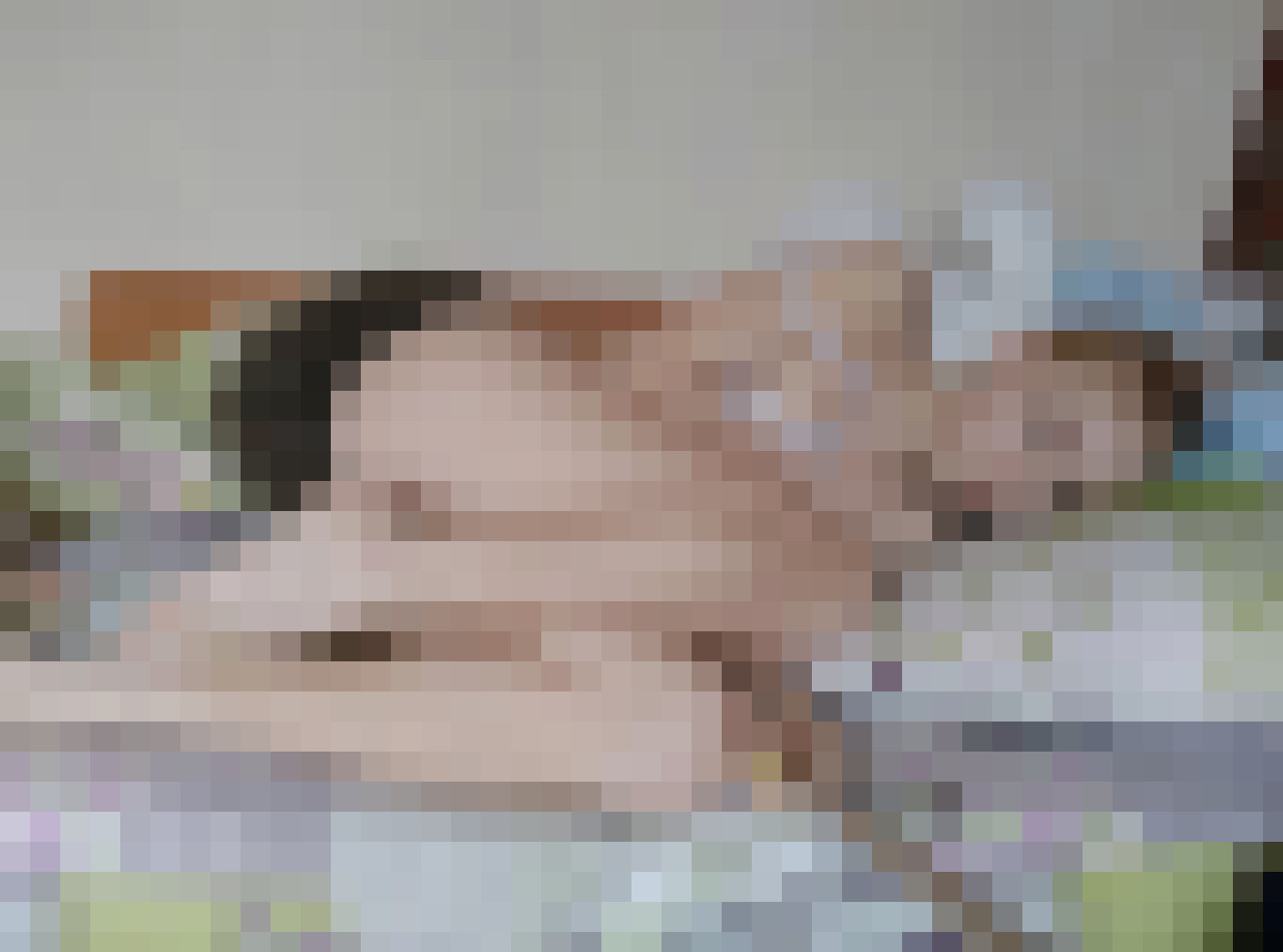 Сливы шкодницы кружки 🍑