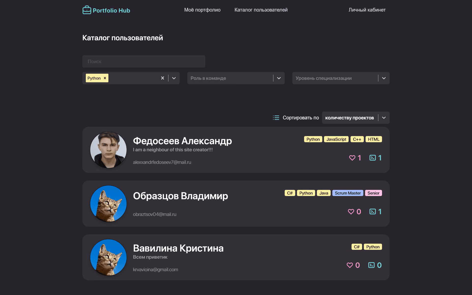 Portfolio Hub – скриншот 2