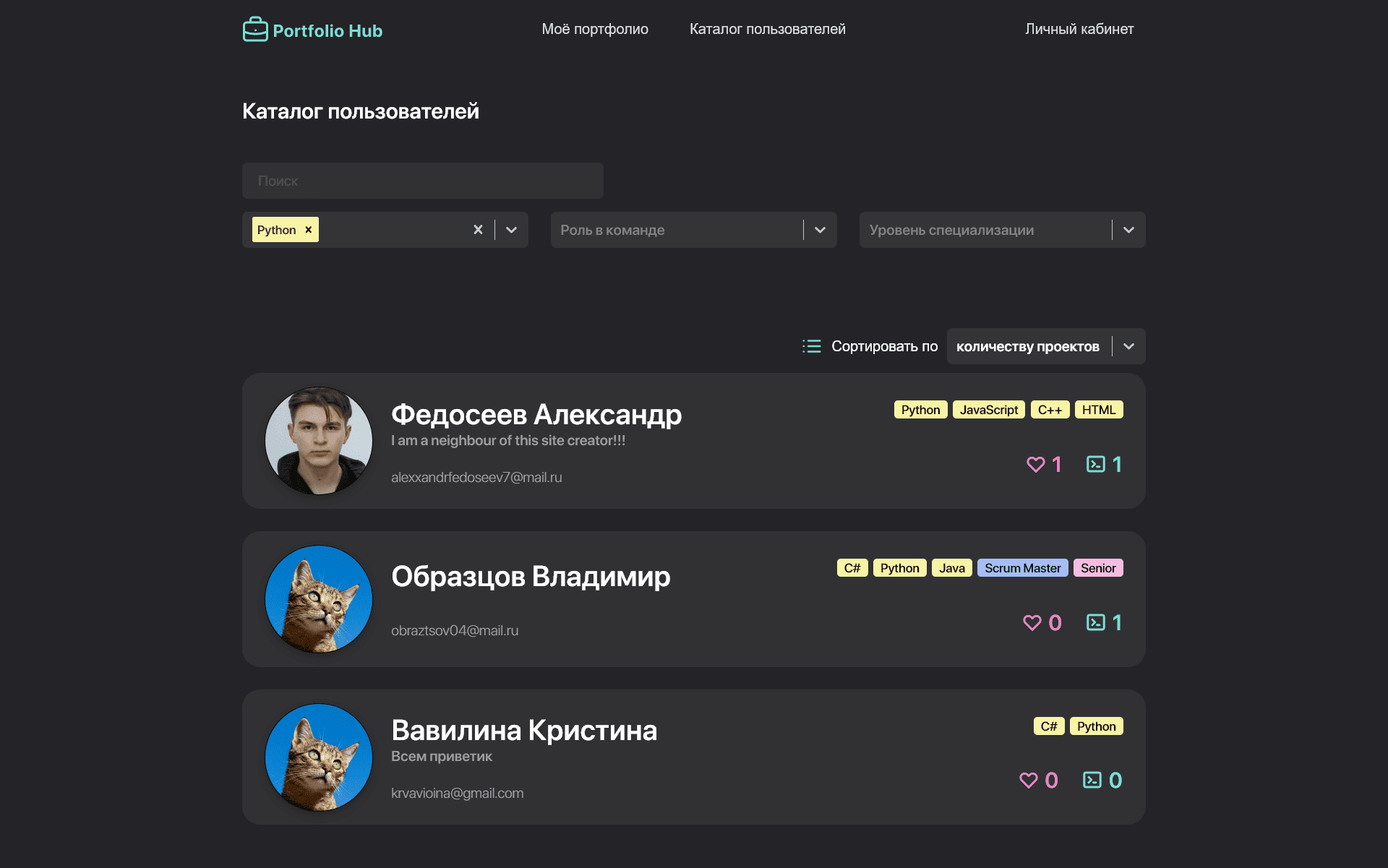 Portfolio Hub - скриншот 2