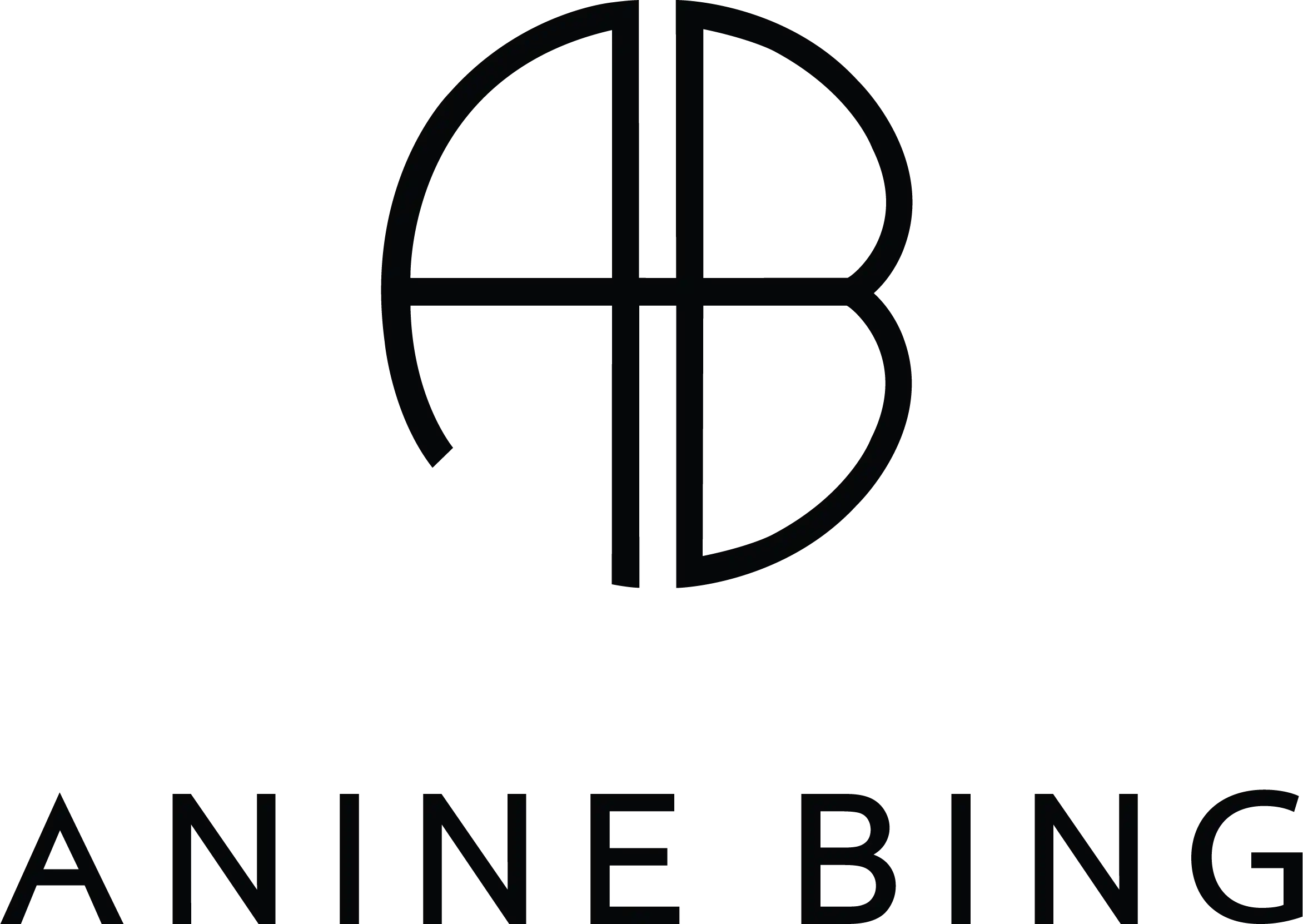 Anine Bing