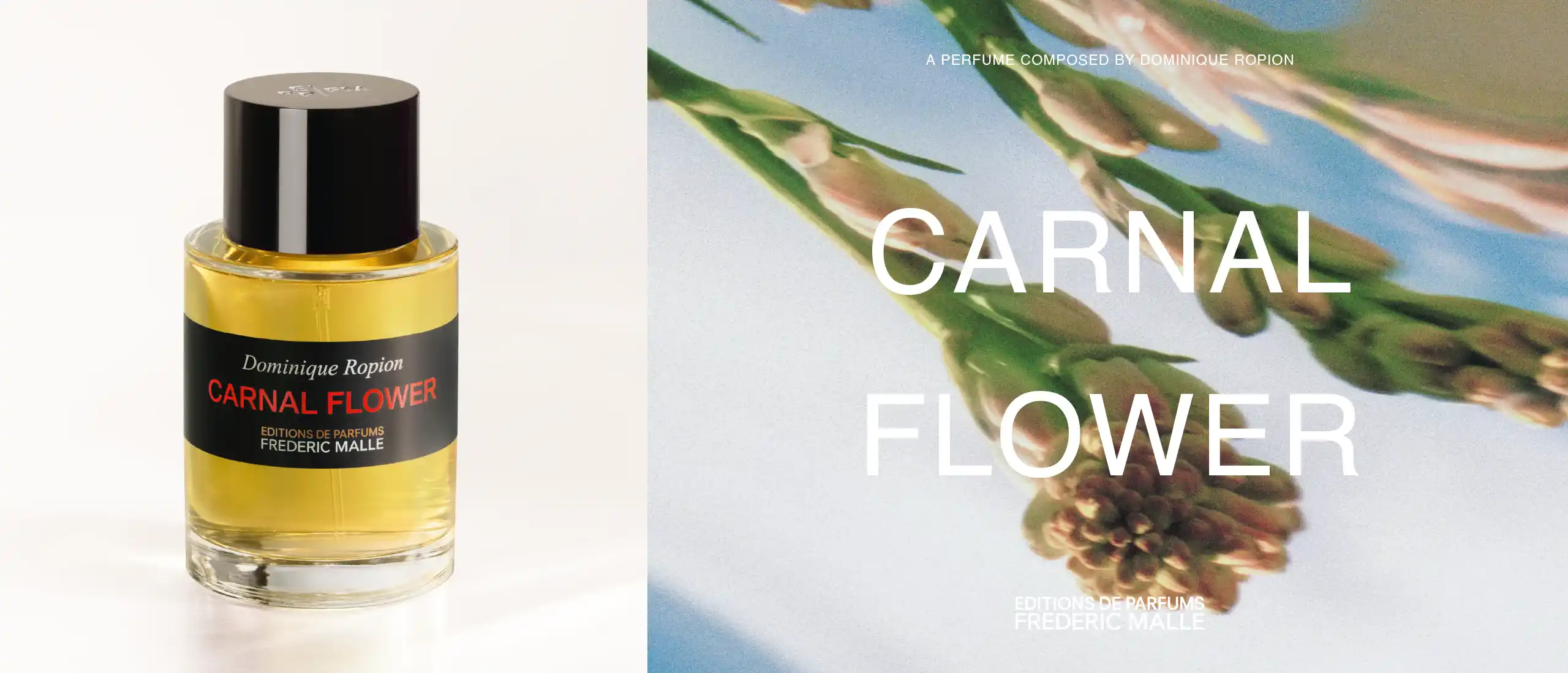 Carnal Flower