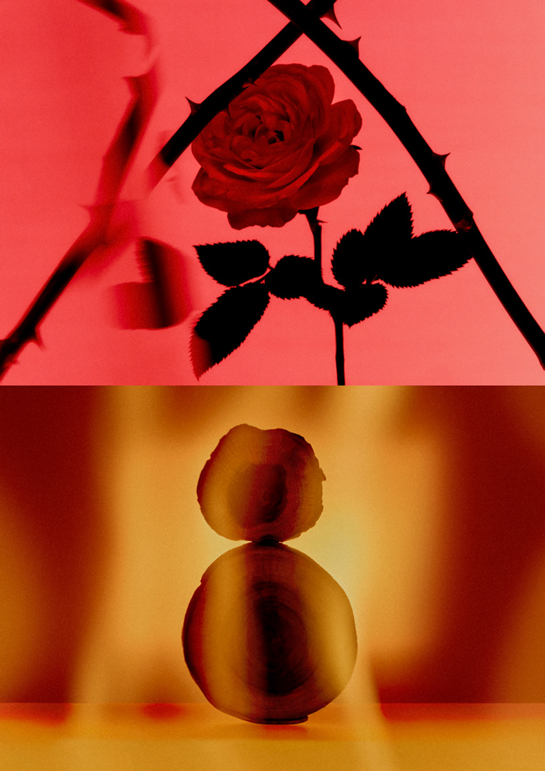 Новинка Éditions de Parfums Frédéric Malle - Contre-Jour - Новости CDV.kz - фото 3