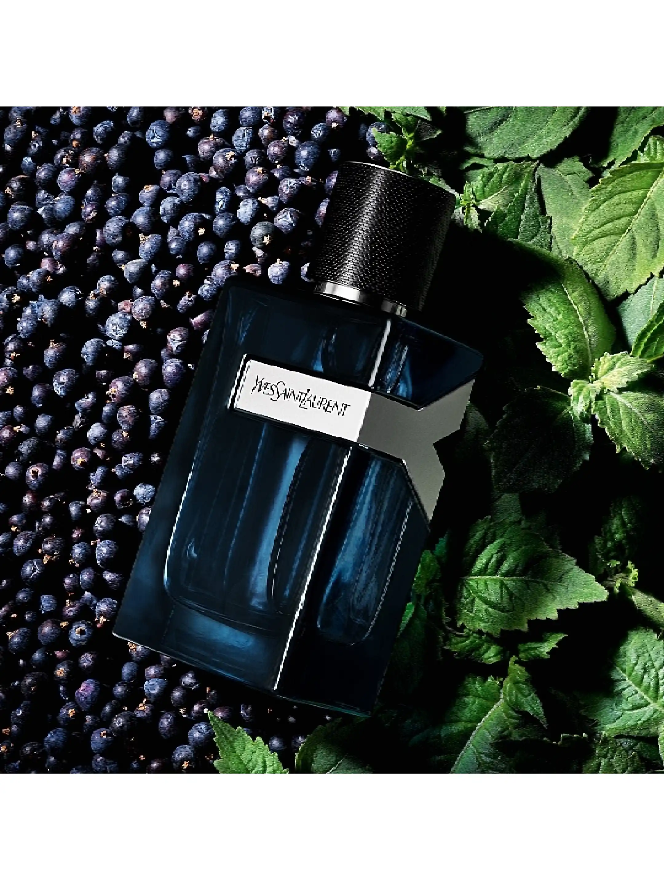 Yves Saint Laurent Y Intense Eau de parfume - buy for 55425 KZT in