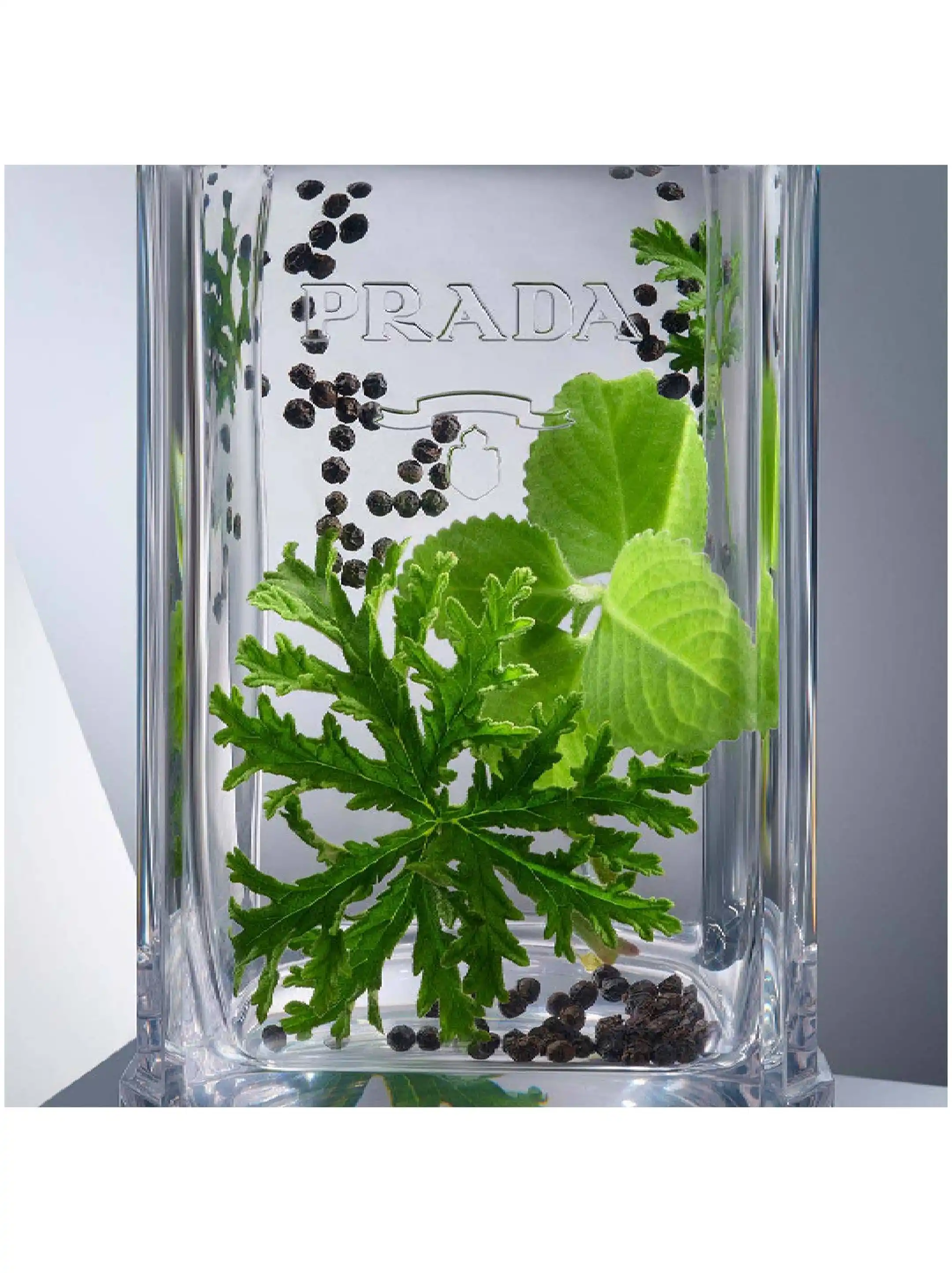 Туалетная вода L'Homme Prada - купить за 83000 тг. в официальном