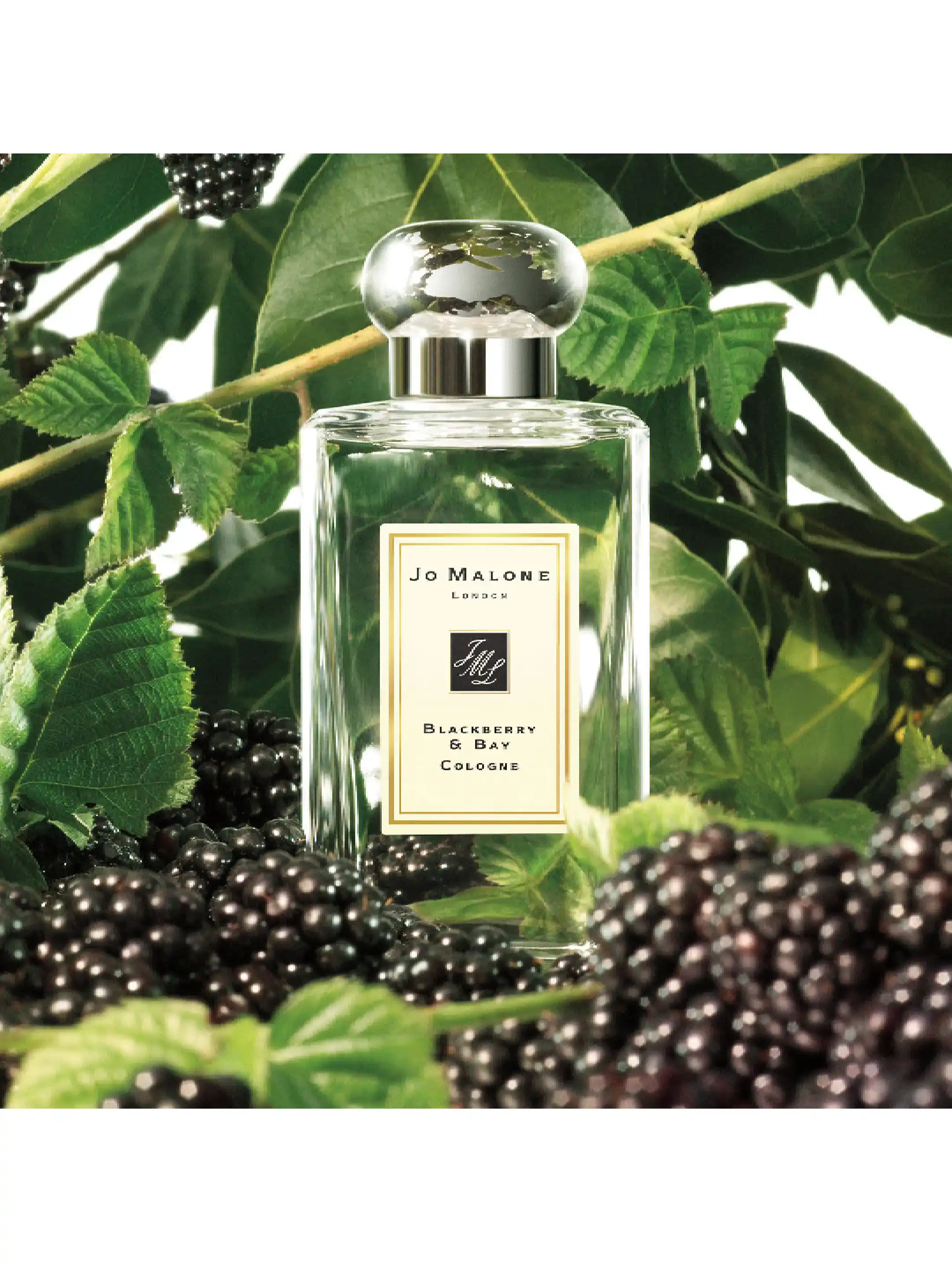 Jo Malone London Blackberry & Bay Cologne - buy for 66300 KZT in