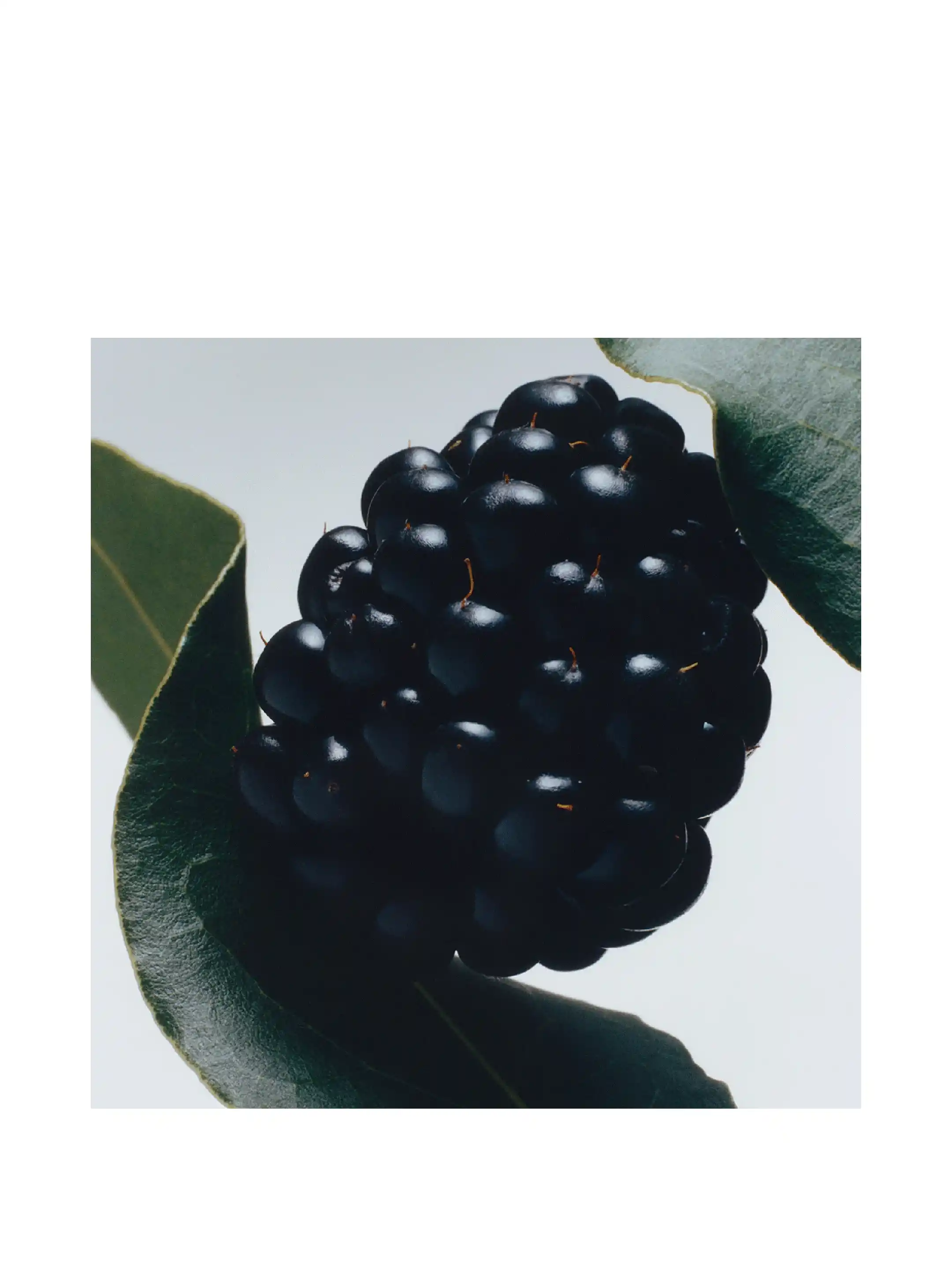 Диффузор Blackberry & Bay, 165 мл Jo Malone London - купить за