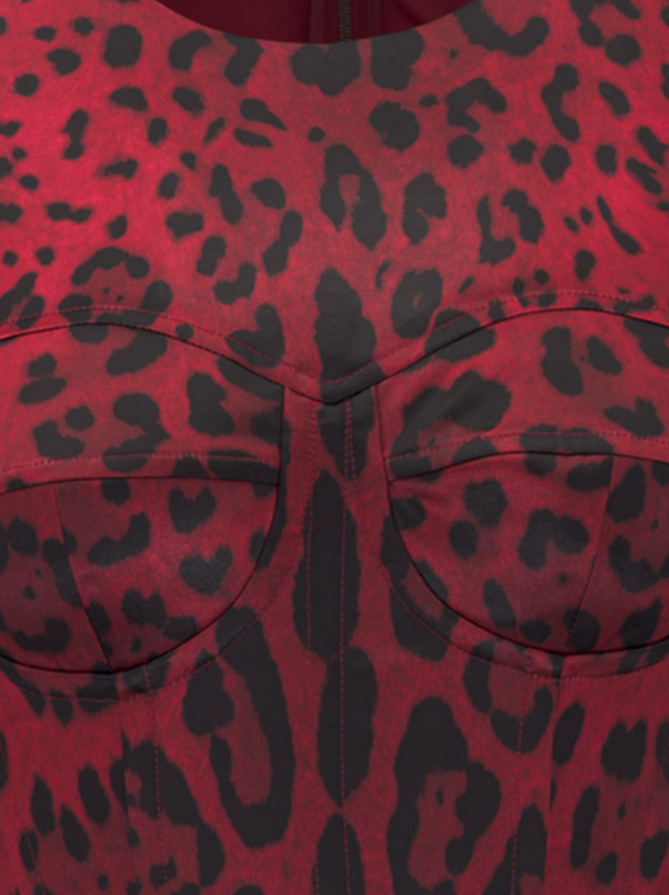 Dolce&Gabbana women's Leopard print bra - buy for 260000 KZT in the  official Viled online store, art. O1A01T FSAXY.HY13M_IV_231