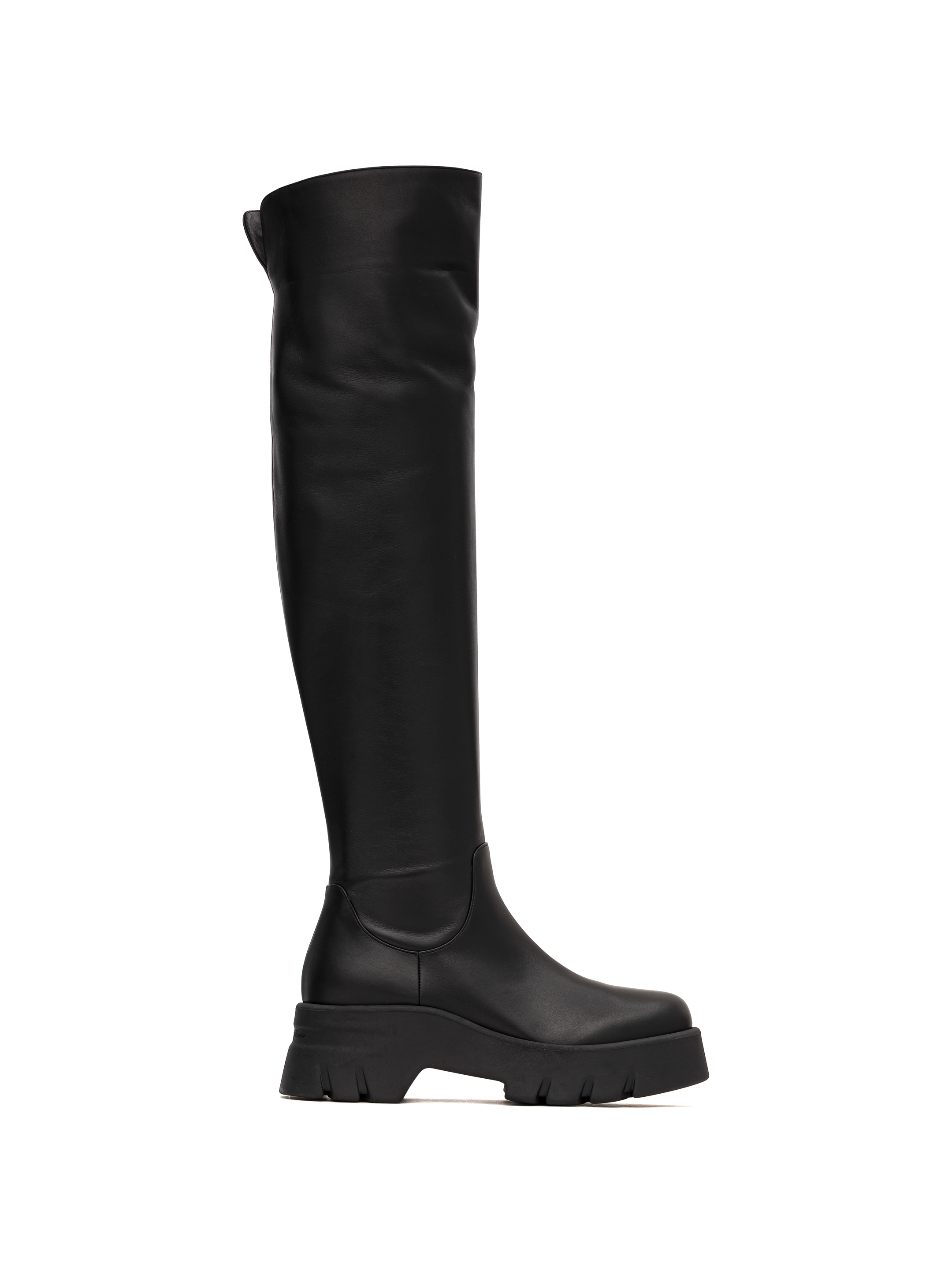 Gianvito rossi hotsell thigh boots