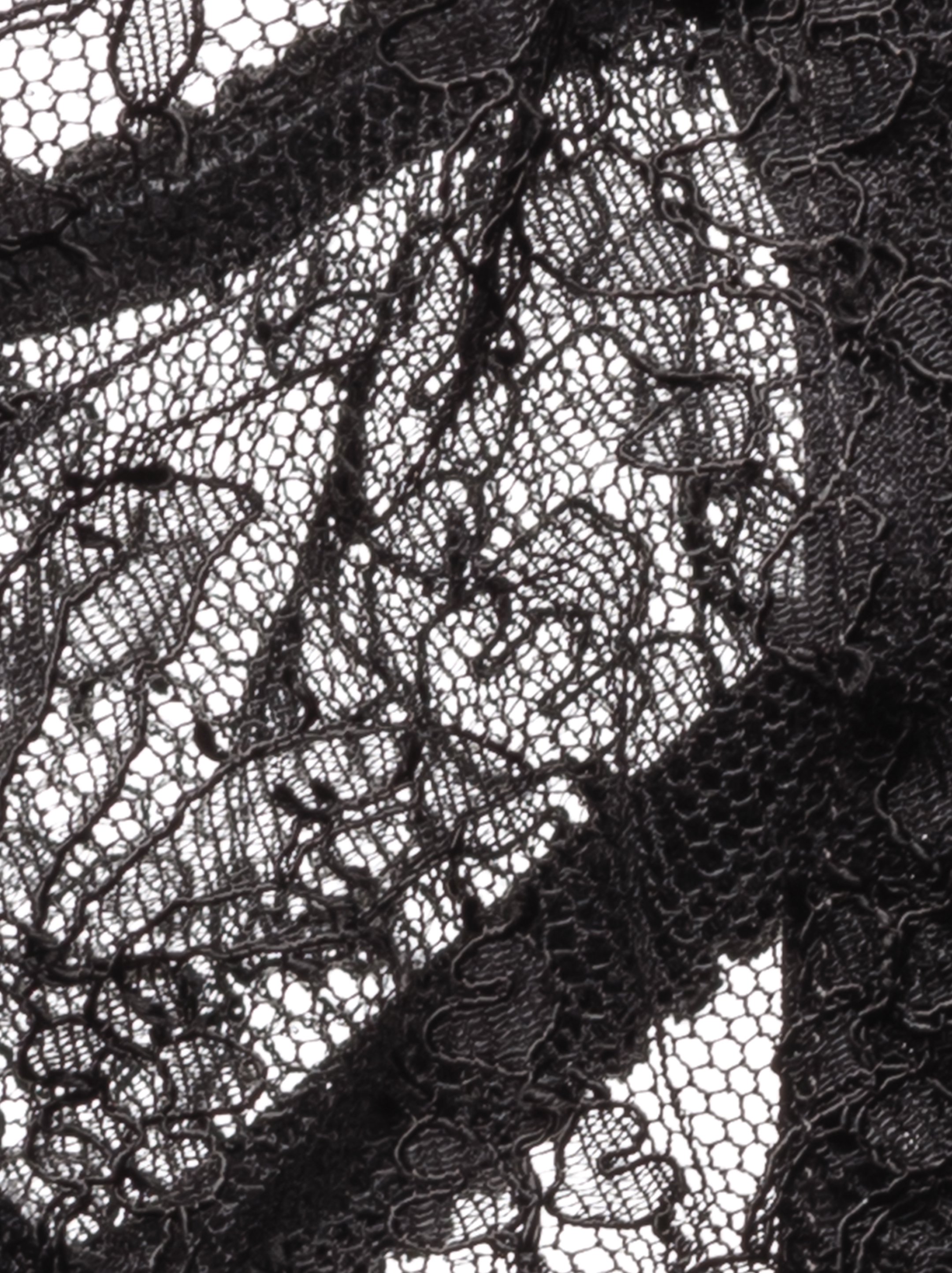 Dolce&Gabbana women's Logo lace bra - buy for 220000 KZT in the