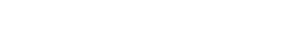 bidzar-srm