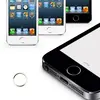Алюминиевая кнопка HOME наклейка для iPhone 4/5/5S/6 (iPad 2/3/4/mini/Air) Белый-золотой