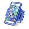 Чехол для бега Fitness Apple iPhone 6/6s (4.7 дюйма), голубой