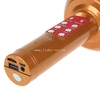 Колонка-микрофон (WS-1816ch) Bluetooth/USB/micro SD/FM/караоке/LED/меняет голос (золото)
