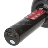 Колонка-микрофон (WS-1816ch) Bluetooth/USB/micro SD/FM/караоке/LED/меняет голос (черный)