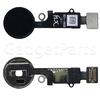 Кнопка Home в сборе с шлейфом (Sensor) iPhone 7, 7 Plus, 8, 8 Plus, SE 2020, SE 2022 Черная (Black)