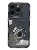 Чехол Fly Flying для iPhone 13 Pro, Black