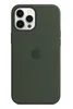 Чехол Silicone Case MagSafe Premium для iPhone 12 Pro Max, Cyprus Green