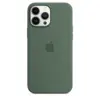 Чехол Silicone Case MagSafe Premium для iPhone 13 Pro Max, Eucalyptus
