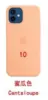 Чехол Silicone Case MagSafe для iPhone 12 / 12 Pro, Flamingo