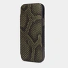 Чехол Benoit для iPhone 12 Pro Max из натуральной кожи питона, зеленого цвета
