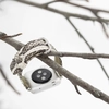 Ремешок для Apple Watch 40/41mm Classic из кожи питона цвета Natur