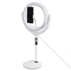 Кольцевая светодиодная лампа 26 см REMAX Life Anchor Desktop Stand Beauty Fill Light RL-LT13 (белый)