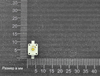 Светодиод SMD LCWW5SM-JYJZ-4L8N - белый (4000K 3.2V 350mA 120°)