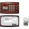 Аудиопанель CYFRAL CCD-2094.1/РК, медный