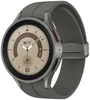 Умные часы Samsung Galaxy Watch 5 Pro Classic R920 Gray